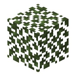 Birch Leaves