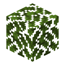Oak Leaves