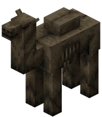 Husk Camel mob