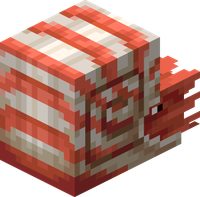 Nautilus mob