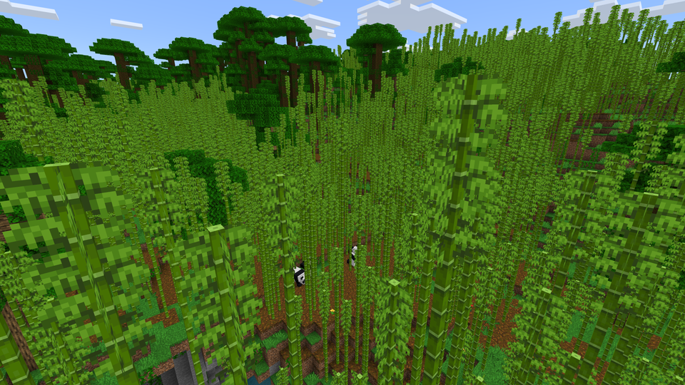 Bamboo Jungle