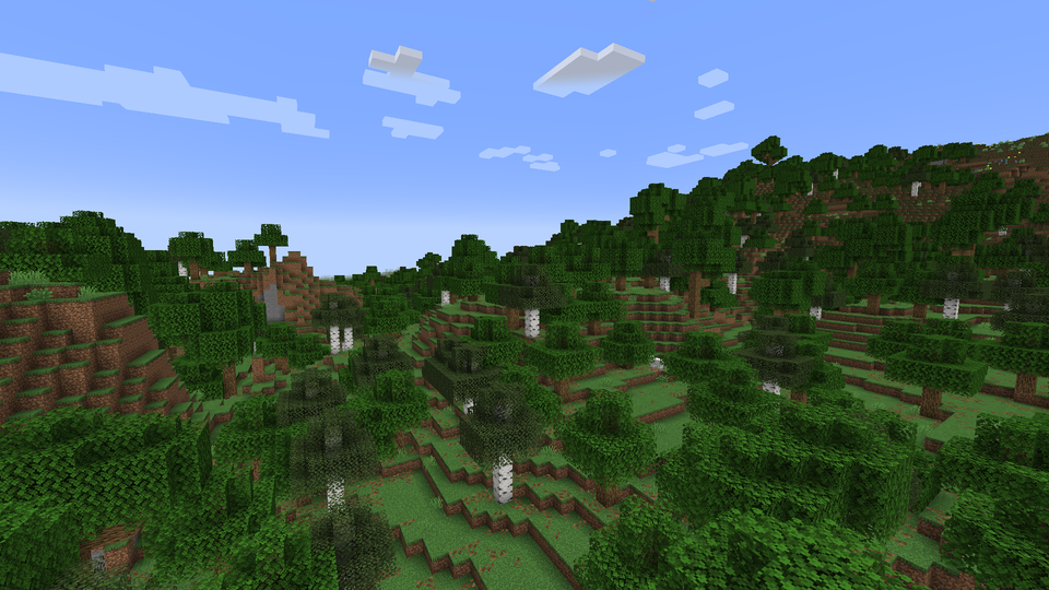 Forest