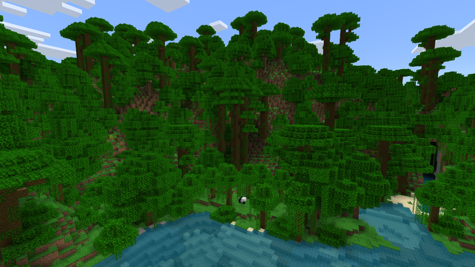 Jungle