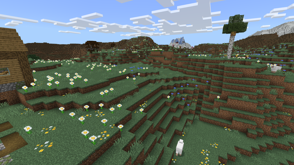 Meadow