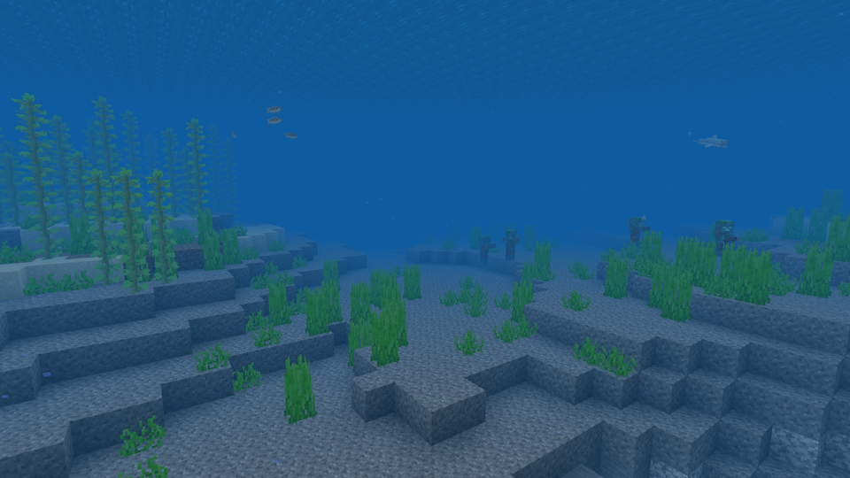 Ocean
