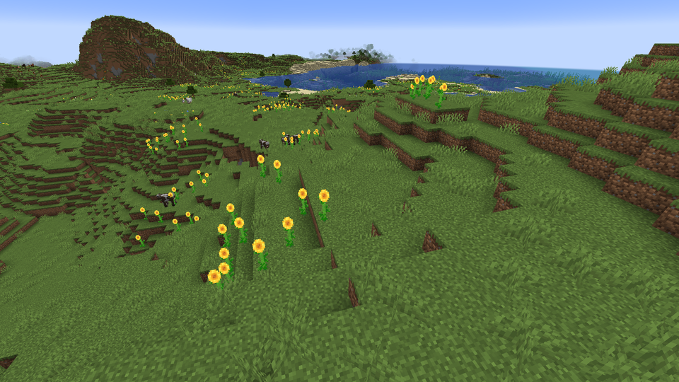Sunflower Plains