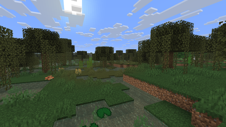 Swamp